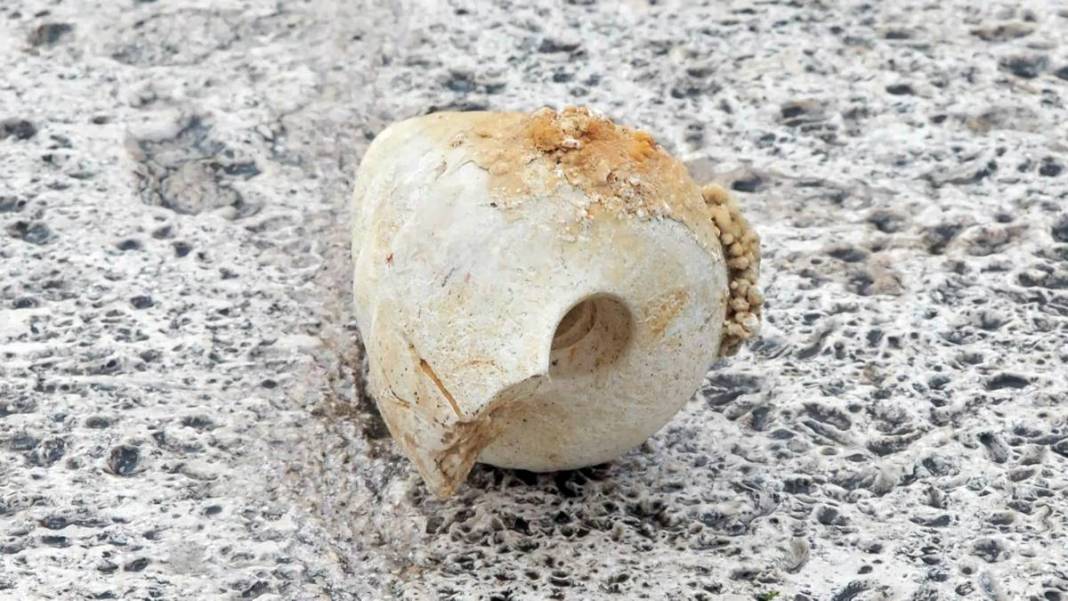 İstanbul'un o ilçesinin zemininin zayıf olduğunun en somut göstergesi! Prof. Dr. Şener Üşümezsoy'dan korkutan uyarı 10